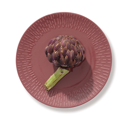 Aida LIFE IN COLOUR Confetti middagstallerken bordeaux Ø27,5 cm