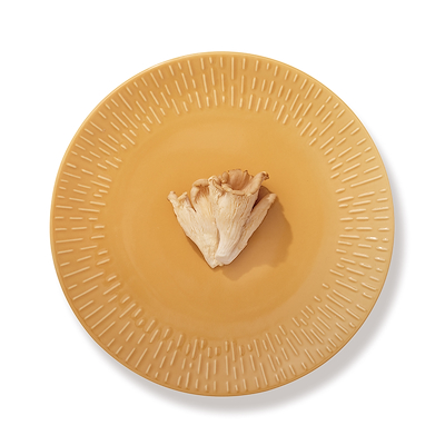 Aida Confetti middagstallerken mustard 27,5 cm