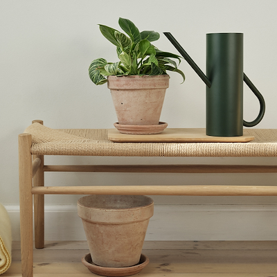 Stelton Bloom Blomstervandkande Pine 2 Liter