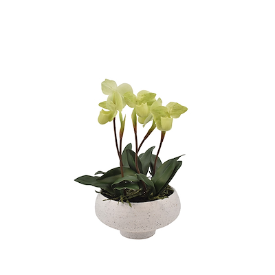 La Vida kunstig fruesko orkidé grøn 5 stilke