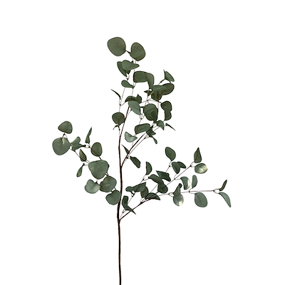 La Vida kunstig blomst eucalyptus 65 cm
