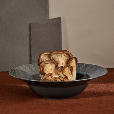 Lyngby Porcelæn Rhombe Earth dyb tallerken slate Ø24,5 cm