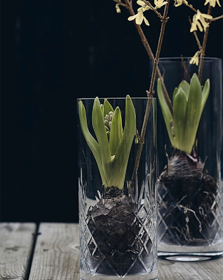 Frederik Bagger Crispy Love 2 vase klar glas 25,5 cm