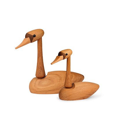 Spring Copenhagen svaneunge