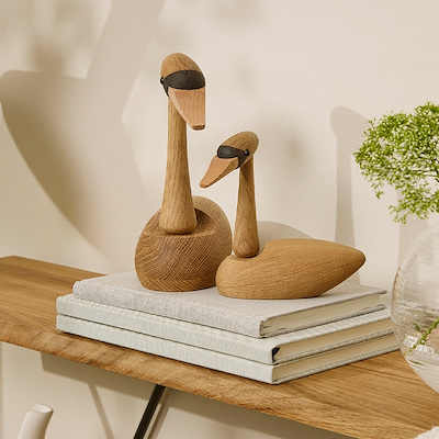 Spring Copenhagen svaneunge