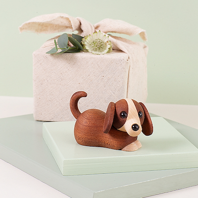 Spring Copenhagen Jojo hundehvalp brun