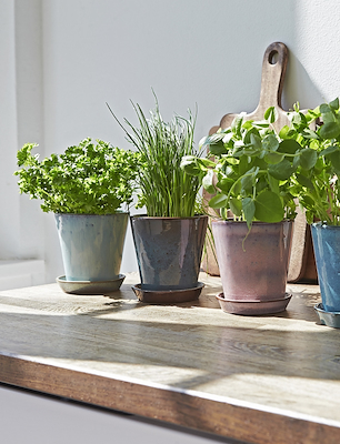 Knabstrup dyrkningspotte rosa