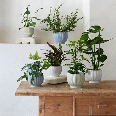 Knabstrup Keramik Ripple urtepotteskjuler lavendel H14.5 cm