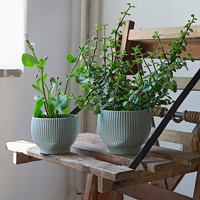 Knabstrup Keramik Ripple urtepotteskjuler mintgrøn H14.5 cm