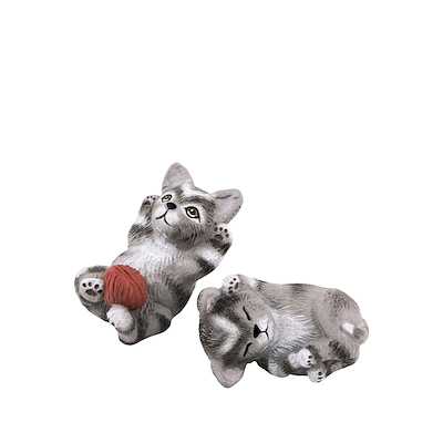 Klarborg kattekillinger Miv og Nulle