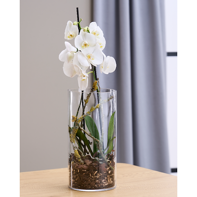 Vase cylinder glas Ø 15 cm H 30 cm