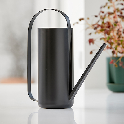 Zone Herb & Sprout vandkande black 1,5 liter