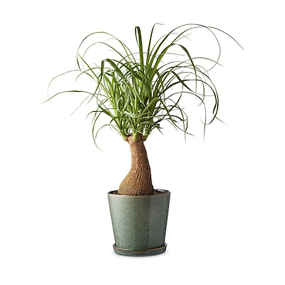 Bitz urtepotteskjuler stentøj grøn Ø14 cm