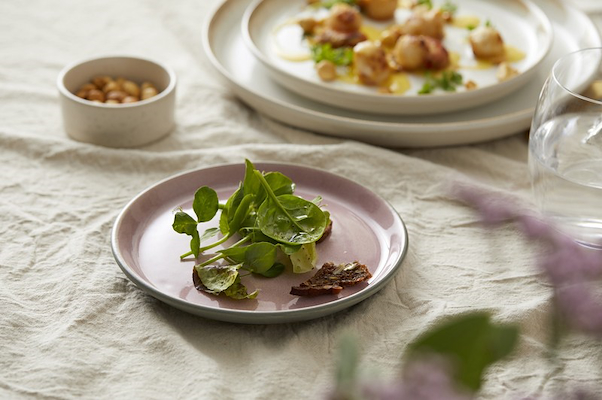 Bitz Gastro tallerken lyserød 17 cm