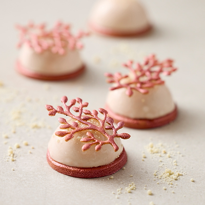 Blomsterbergs gren tuileform latte