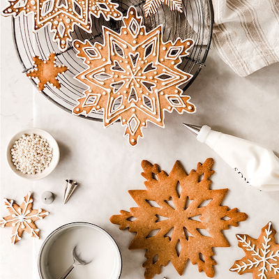 Blomsterbergs engangssprøjteposer 50 stk.