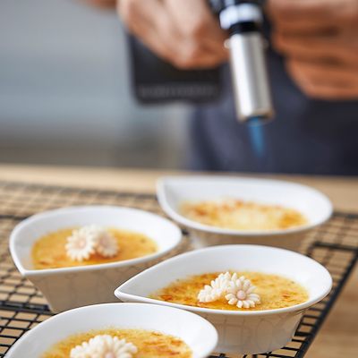 Blomsterbergs gasbrænder rustfrit stål