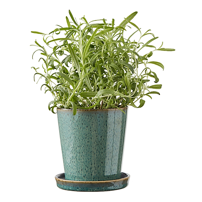 Bitz urtepotteskjuler forest green 10,5 cm