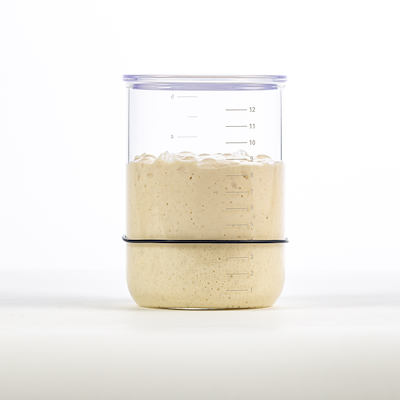 Brød & Taylor glas til surdejstarter 950 ml