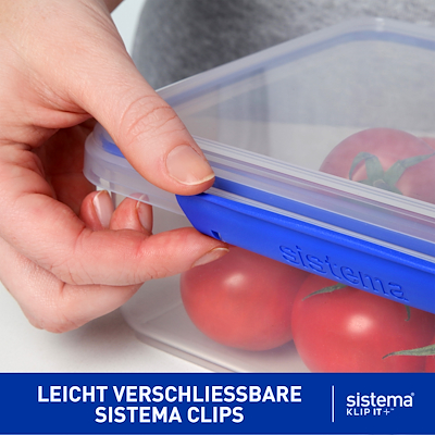 Sistema Salad To Go salatboks 2 stk. 1,1 liter